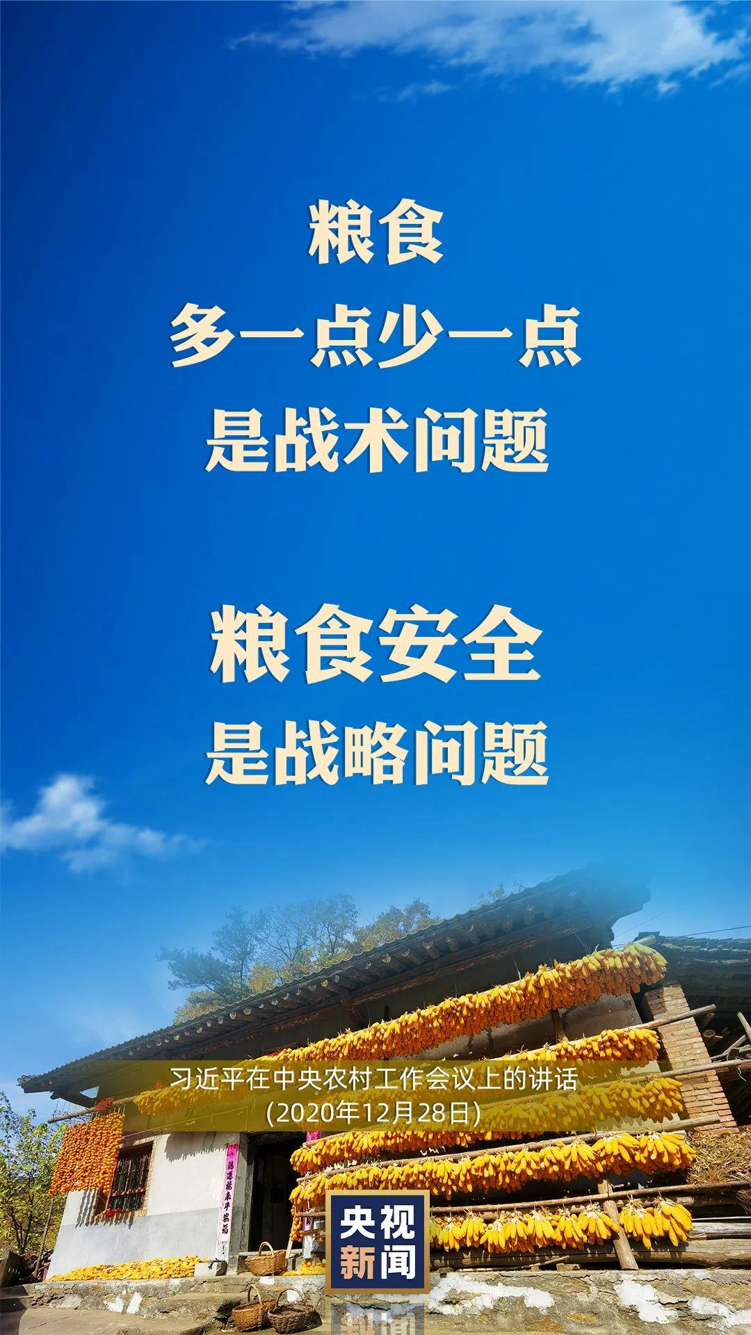 习近平：以国内稳产保供的确定性来应对外部环境的不确定性