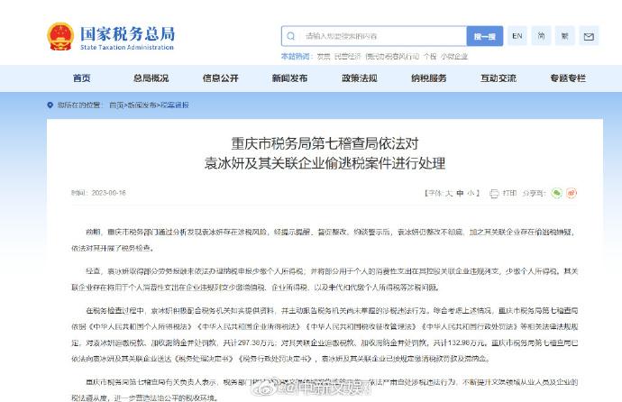 图片来源：国家税务总局官网