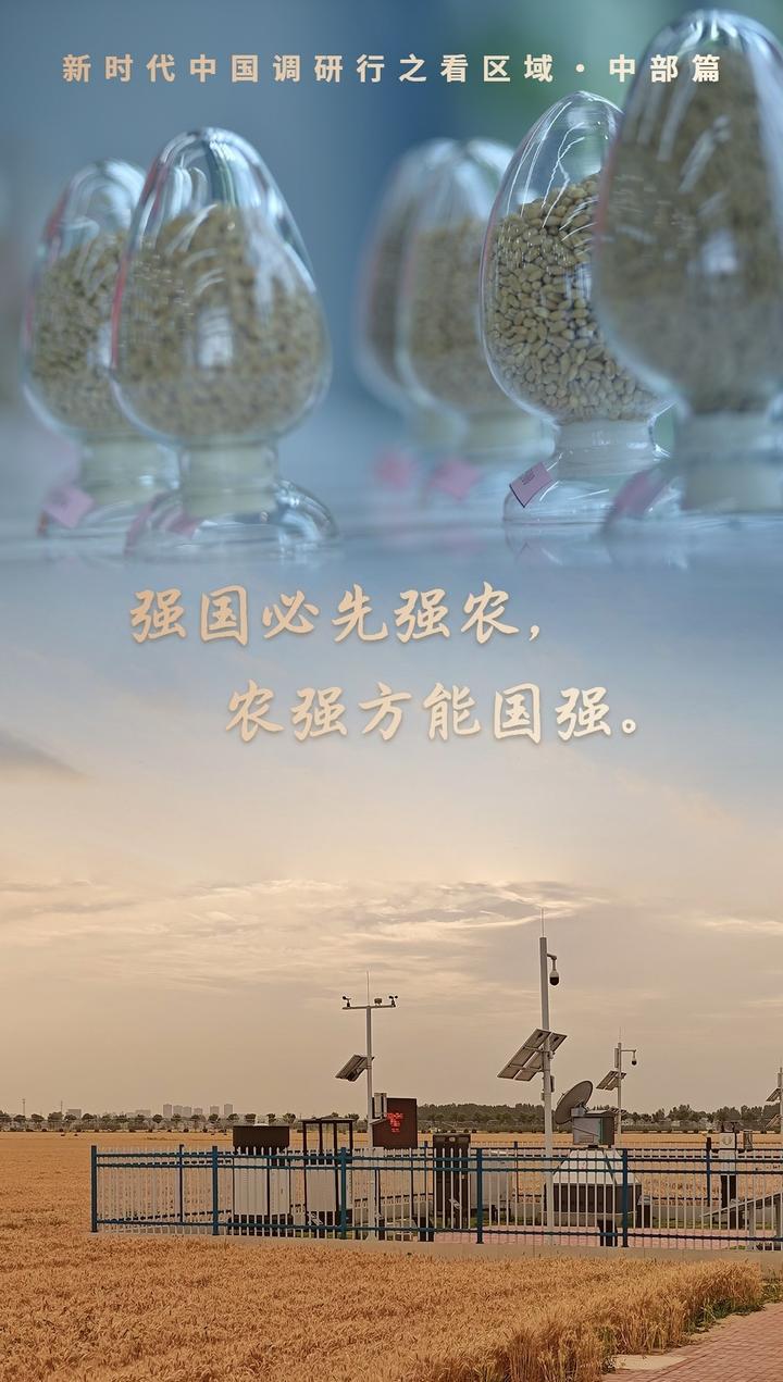 新时代中国调研行之看区域·中部篇｜融媒一线：看，如此“接地气”的科幻“农”景