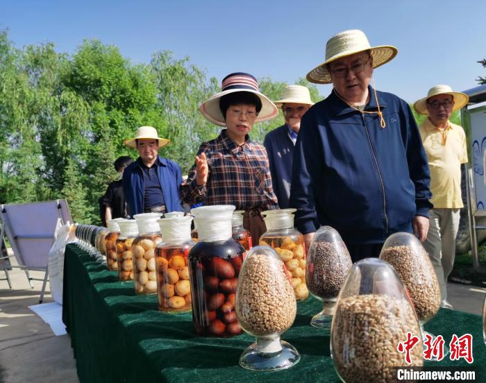 青海：利用冷凉气候，打造高原绿色种业输出地