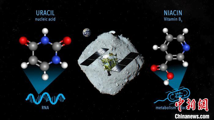 国际最新研究称，近地小行星“龙宫”上发现尿嘧啶等核酸碱基