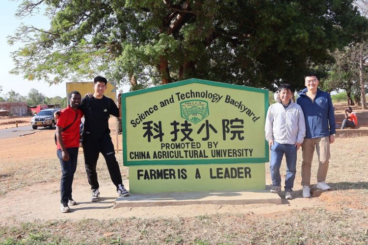 致青春 向未来︱“玉米有了好收成” 科技小院为非洲农民解锁粮食增产密码