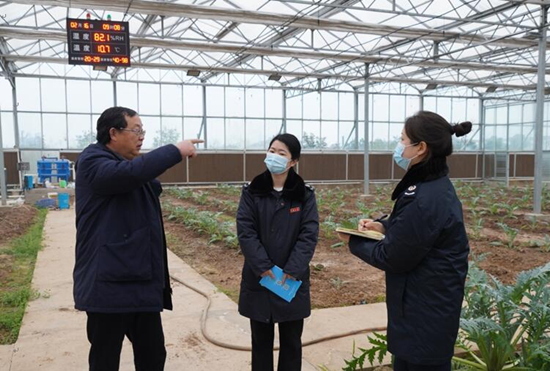 税务干部走进常德市西洞庭管理区的朝鲜蓟种植基地，宣传税费优惠政策，助力农企抢农时、抓春耕、稳增长。吴家豪摄