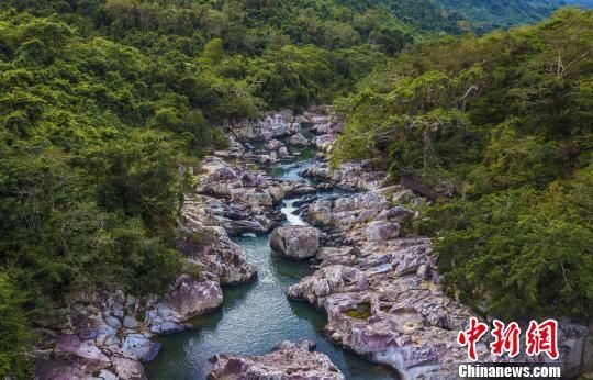 2018年海南生态环境状况等级为“优”，植被覆盖率高，生物多样性丰富，生态系统稳定，图为海南中部热带雨林。　骆云飞　摄