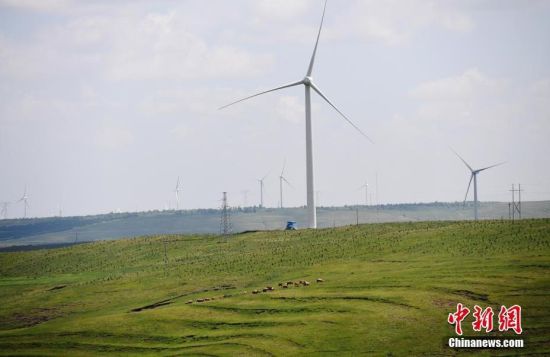 6月28日，河北张家口张北草原上大片风力发电的“风车”规模宏大。 中新社记者 杨艳敏 摄