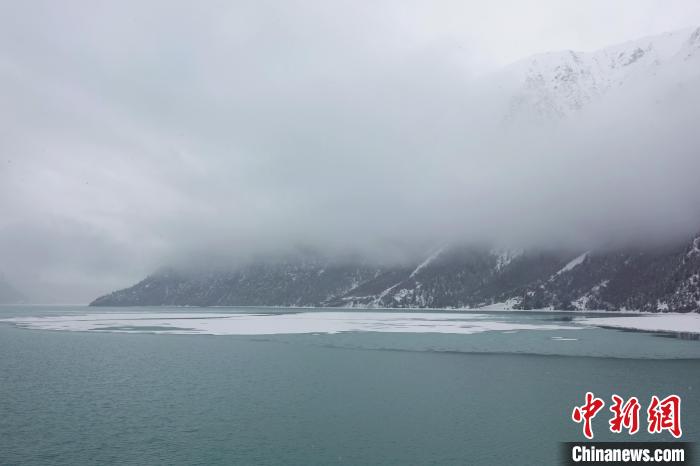 然乌湖春雪飘落。　冉文娟 摄