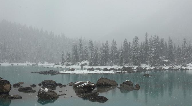 然乌湖春雪飘落美如画游客湖边拍照赏景