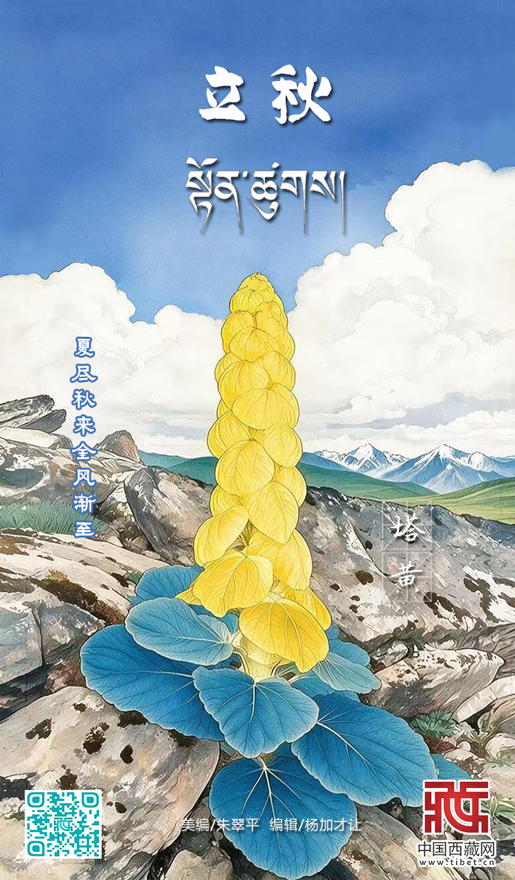 立秋.jpg