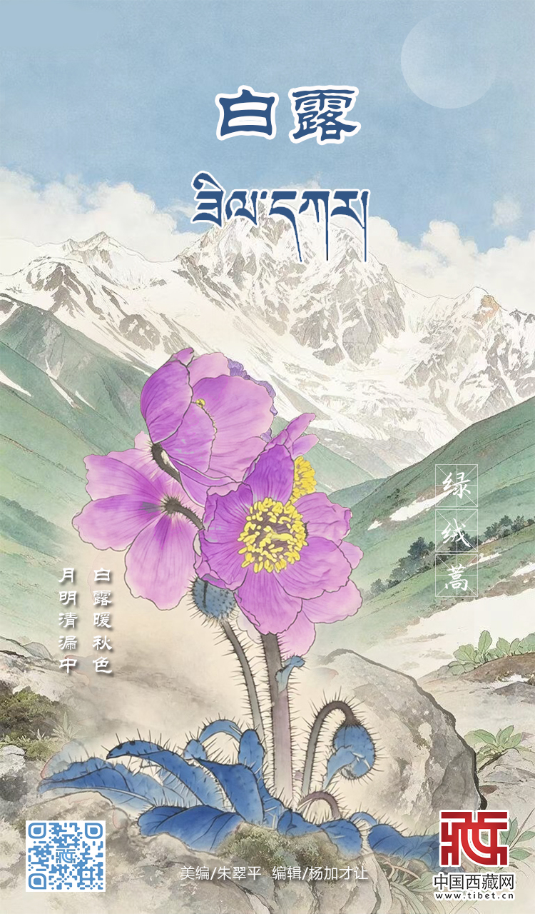 白露.jpg