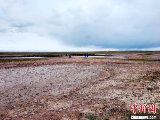 图为救援力量在青海省西部搜救失联的江苏南京某大学女生黄某某。海西州蓝天应急救援中心 供图