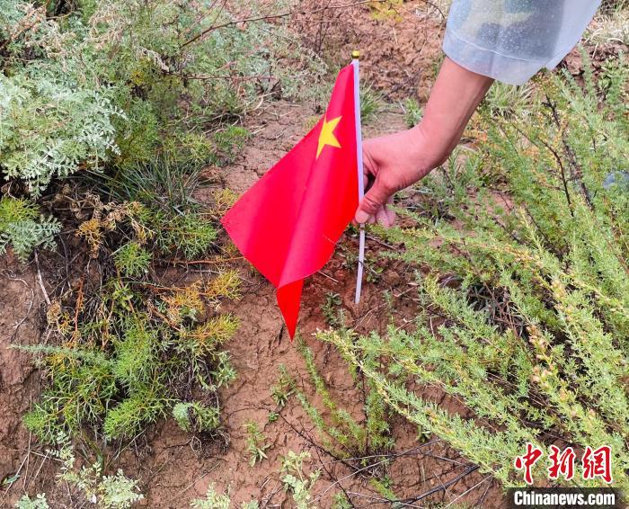 青海省3年实施“蚂蚁森林”公益造林1.2万亩