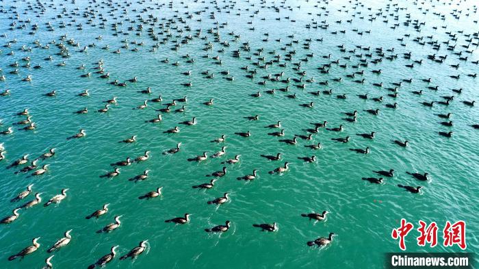 青海省“天地一体”生态环境监测网络初步建成