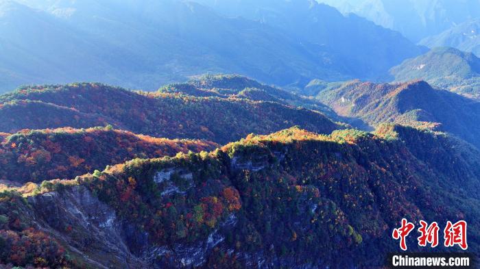 四川巴山大峡谷彩林迎来最佳观赏期