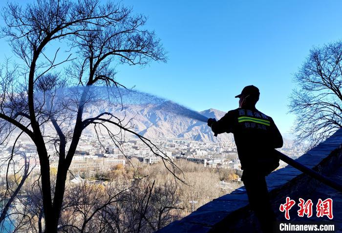 12月6日，布达拉宫消防救援大队在布达拉宫山体林草区域开展湿化工作。　刘瑜 摄