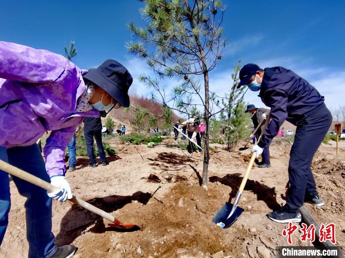 青海掀起春季义务植树高潮今年计划义务植树1500万株