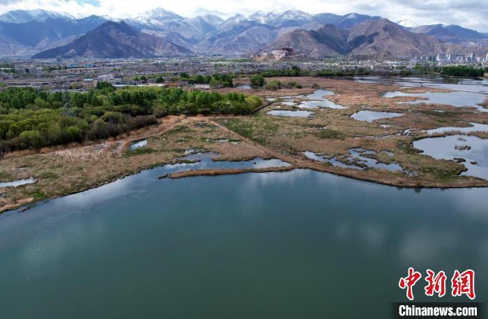 图为拉萨拉鲁湿地。(无人机照片) 李林 摄