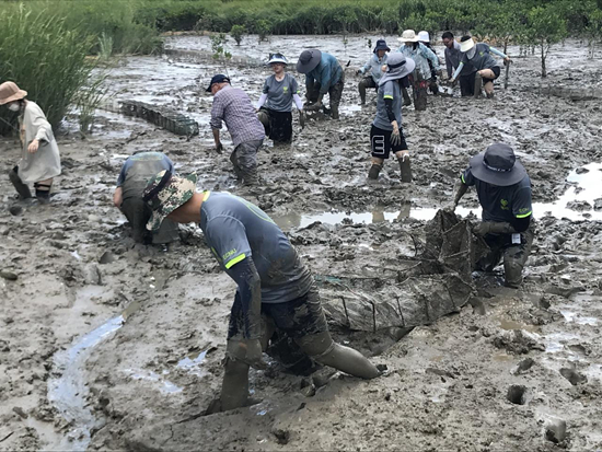 大学师生在行走中解码大自然