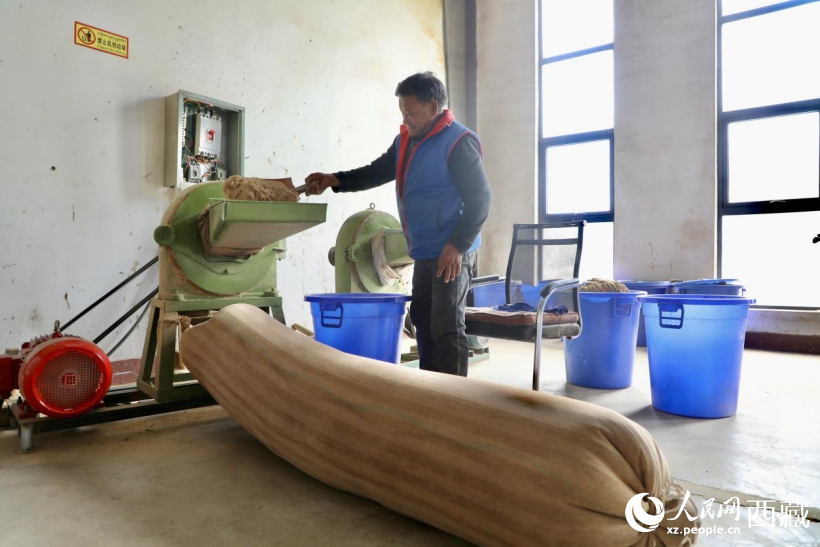 图为藏香文化展厅内地康巴草、杜鹃叶等珍贵藏香原材料。人民网记者 次仁罗布摄