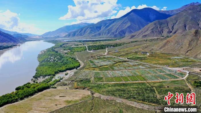 图为桑日县葡萄种植基地。　山南桑日县委宣传部提供