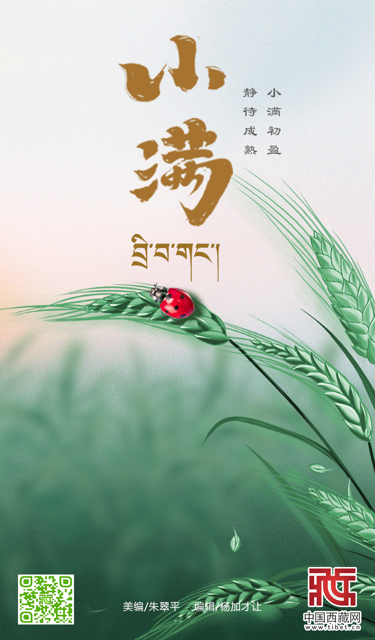 小满.jpg