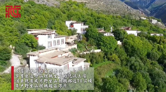 企业微信截图_20250710200119.png