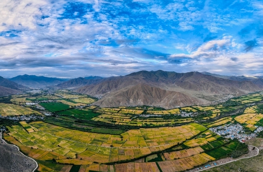 资料图为山南雅砻河谷的农田�?�（无人机照片） 中新社发 张巍 �?.jpg