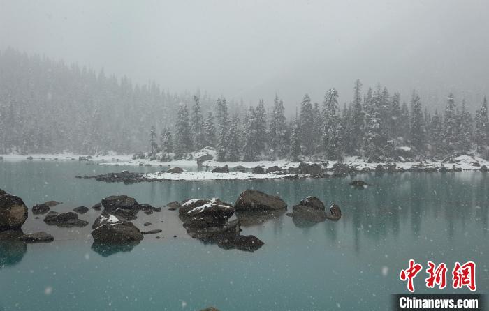 然乌湖春雪飘落美如画游客湖边拍照赏景