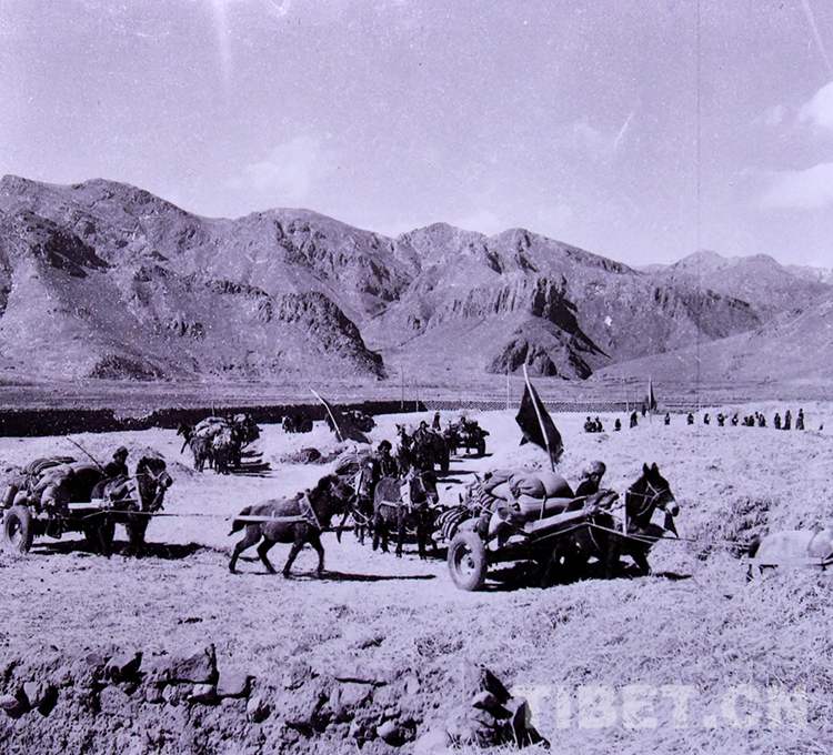 老照片里回望西藏林周农场的农垦记忆