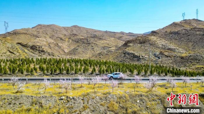 生态修复后逐渐变绿的贺兰山石嘴山段。 石嘴山市委宣传部供图