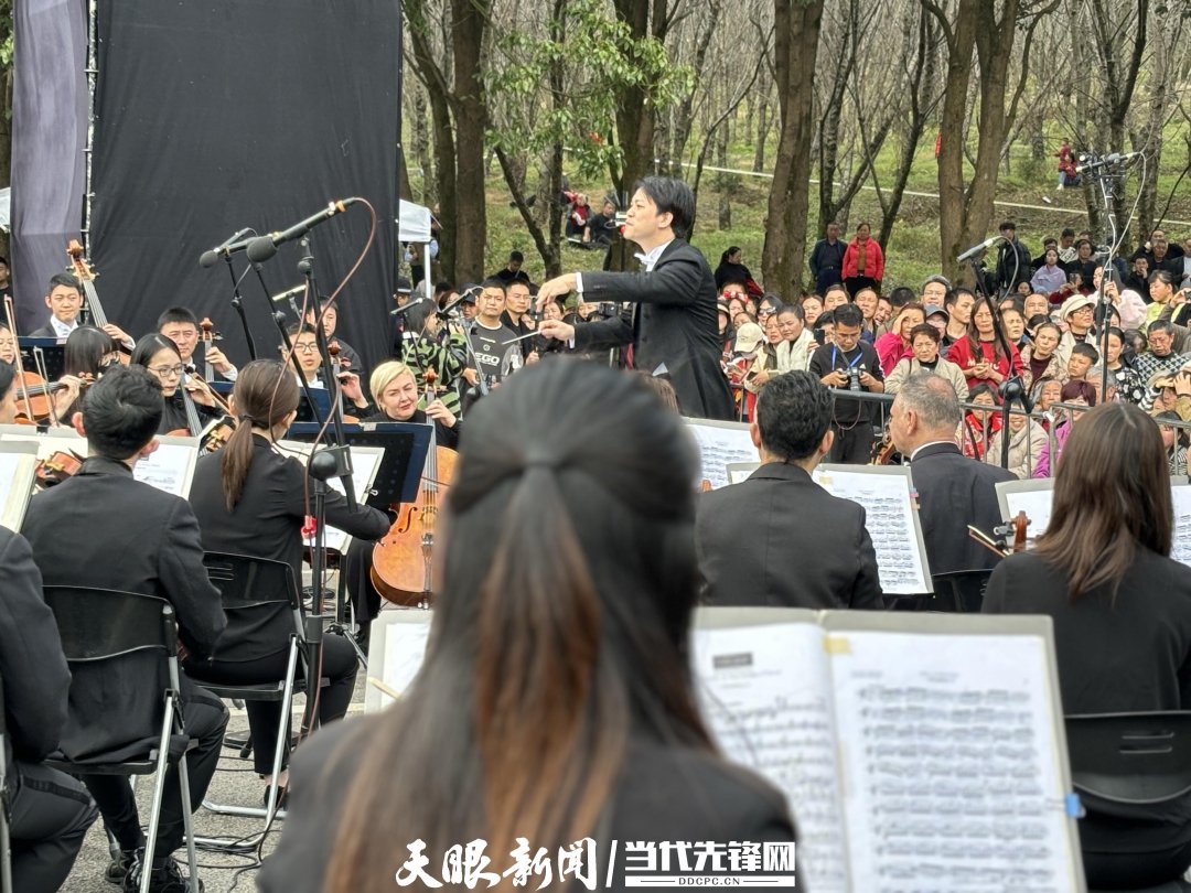 贵阳路边音乐会·贵安樱花园专场交响乐现场。丁亚 文丹 摄