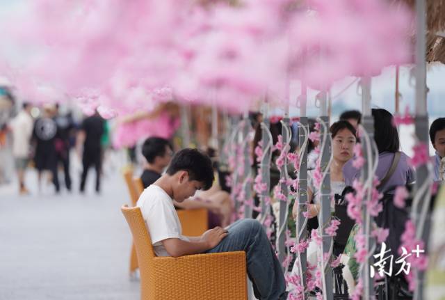 崖口村东堤靠近海岸,成为了热门打卡休闲地点。