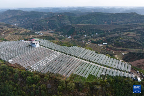 【高质量发展看陕西】“上天”的延安苹果，蕴藏哪些新质生产力