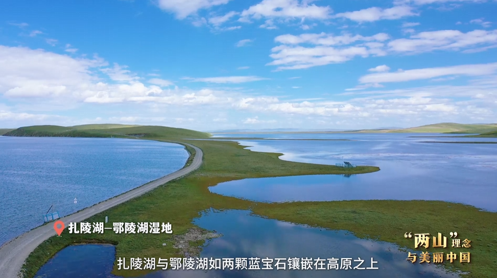 “两山”理念与美丽中国丨湿地与候鸟，一场岁岁年年的相守