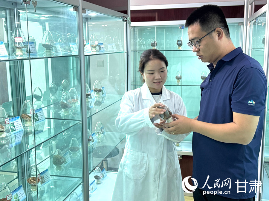 赵祜(右)与同事在种质资源保存室查看青海云杉种子。人民网记者 焦隆摄