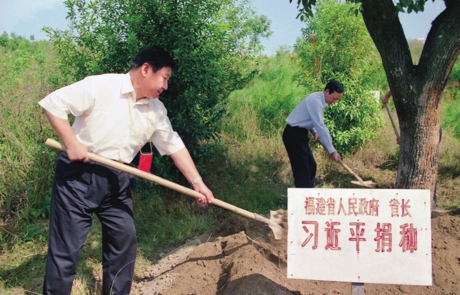 2001年10月，习近平在龙岩市长汀县调研水土流失治理工作，在河田世纪生态园为树培土。图源：《习近平在福建（下）》