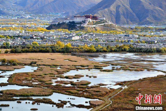 10月24日，拉萨拉鲁湿地景色宜人。　江飞波 摄