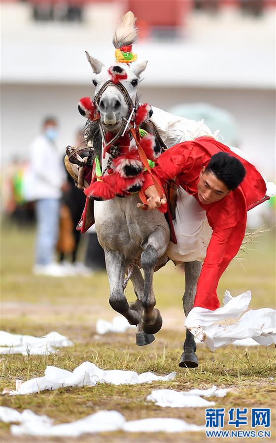 （体育）（5）西藏那曲：马背竞技