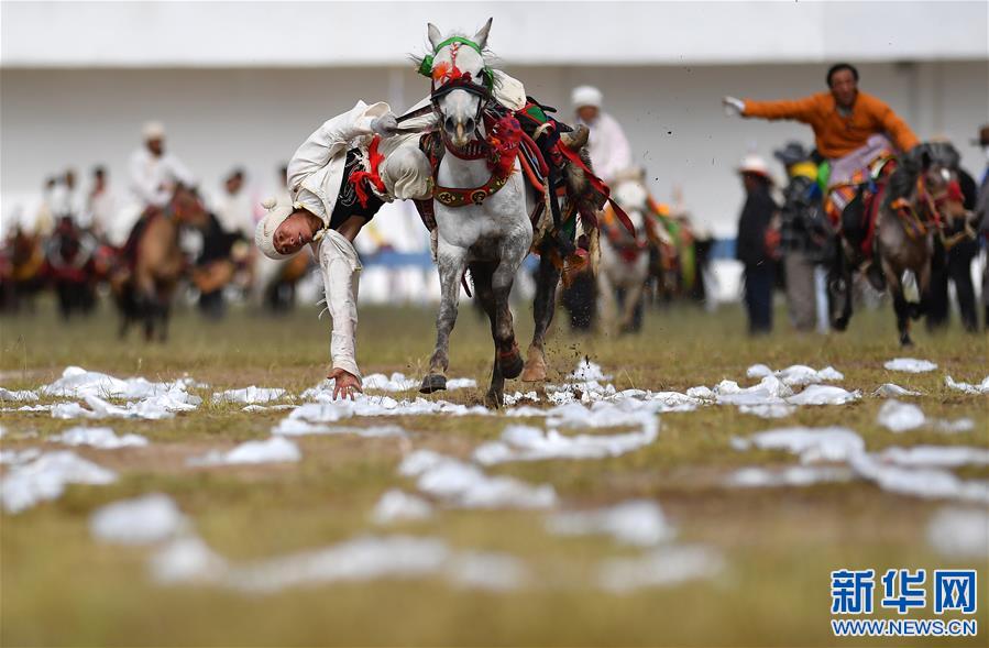 （体育）（7）西藏那曲：马背竞技