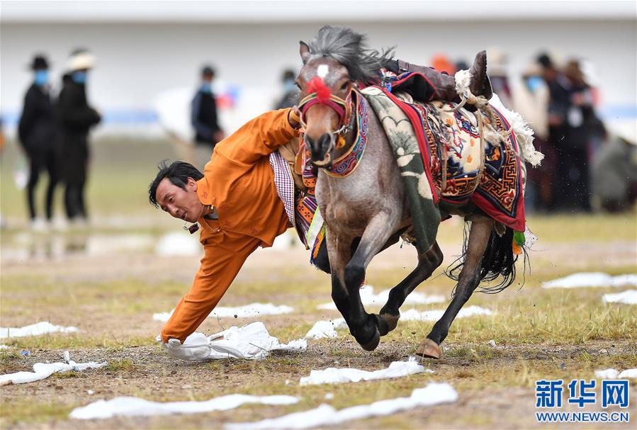 （体育）（10）西藏那曲：马背竞技