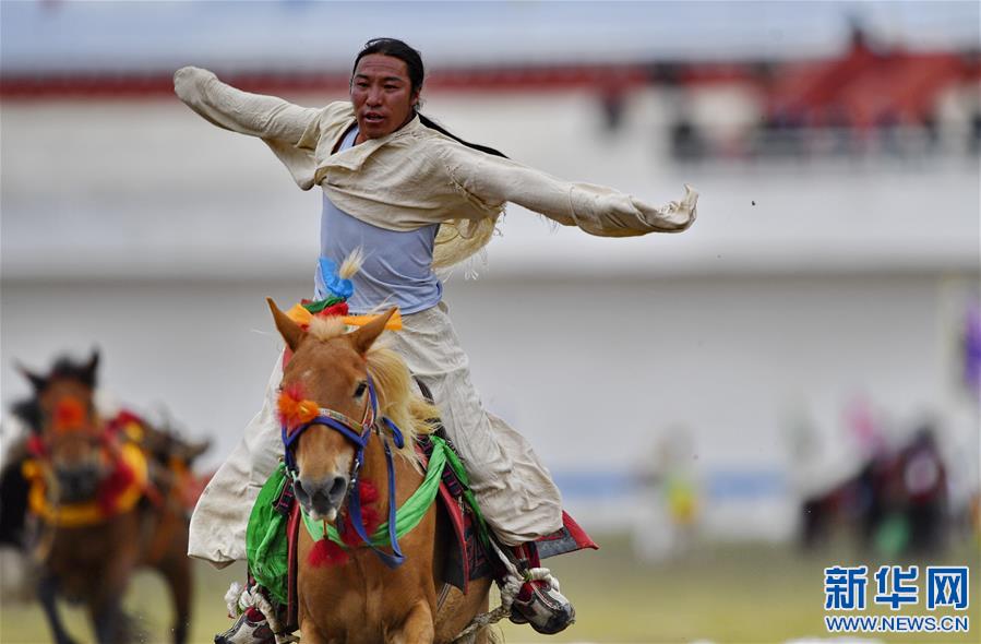 （体育）（17）西藏那曲：马背竞技