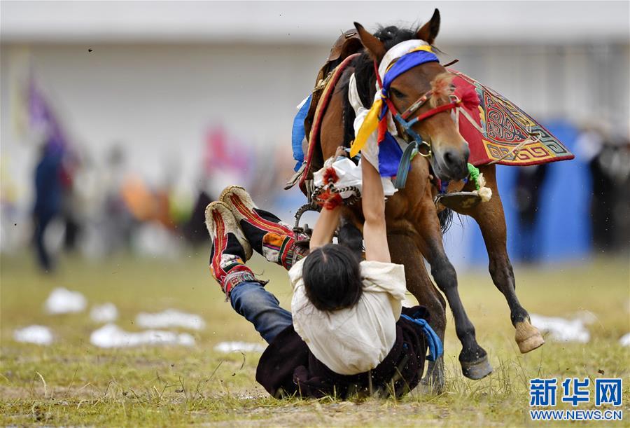 （体育）（19）西藏那曲：马背竞技