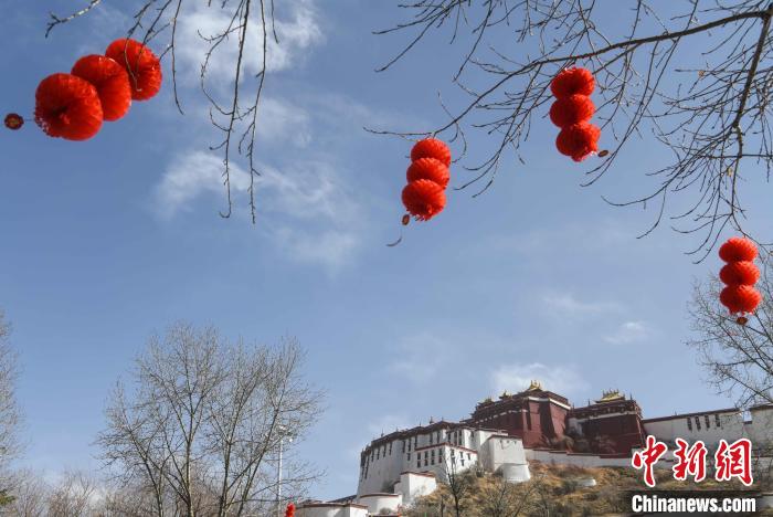 图为布达拉宫前大红灯笼高高挂起。　贡嘎来松 摄