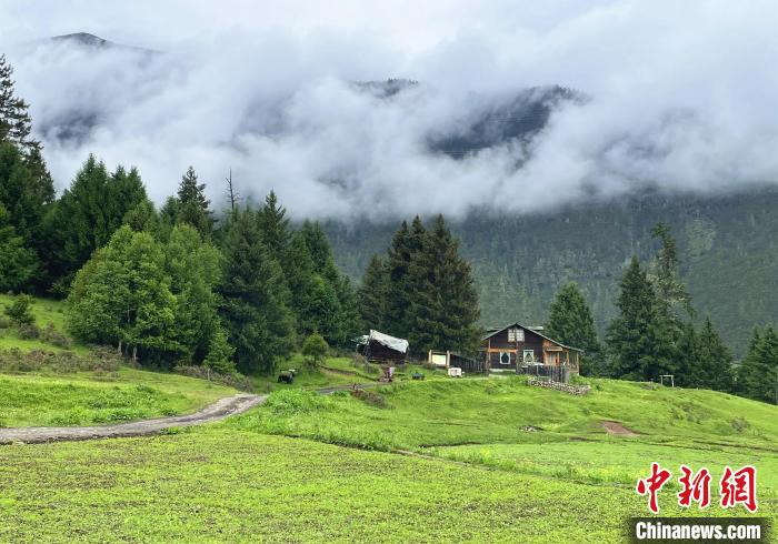 6月10日，鲁朗小镇高山牧场景区风光。　冉文娟 摄