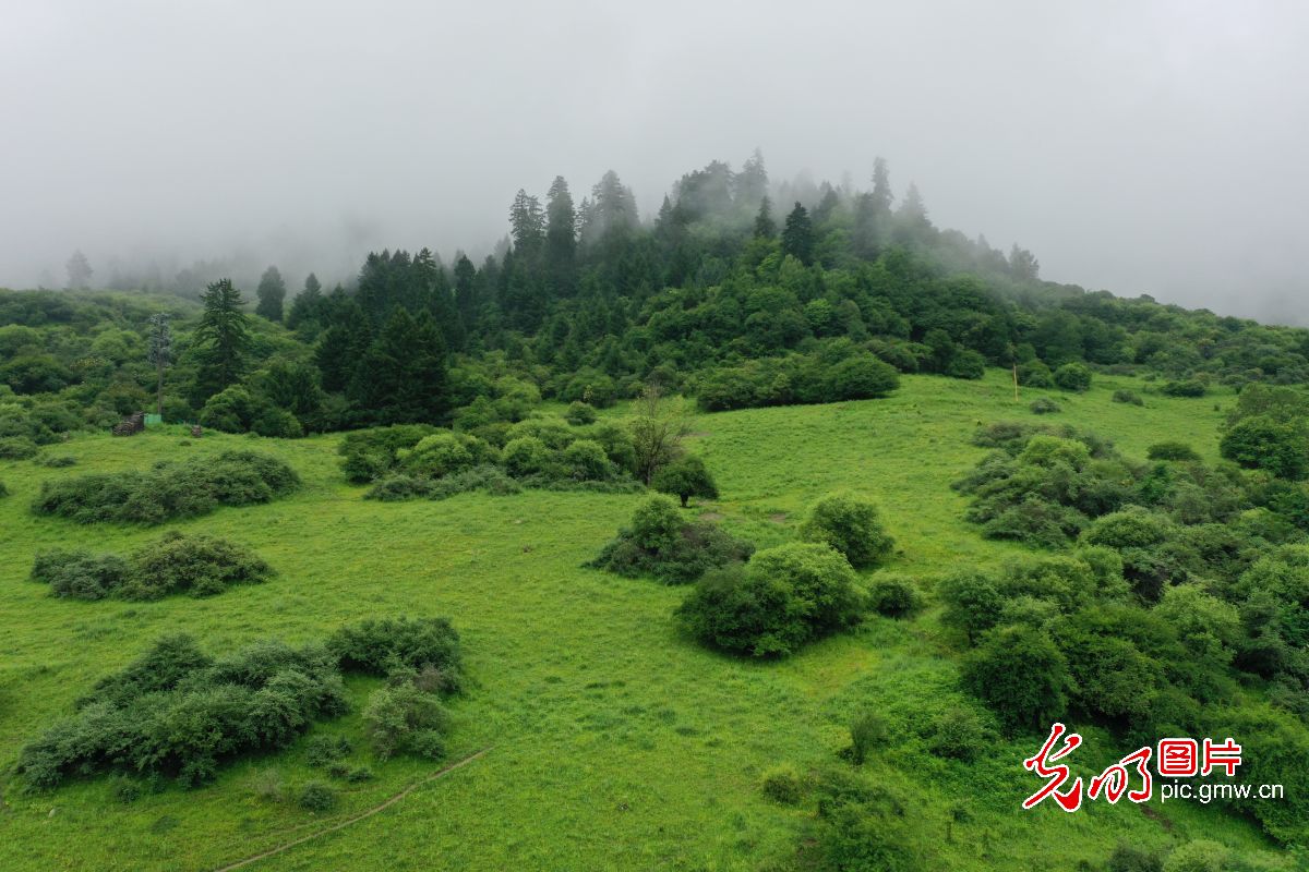 四川九寨沟：生态旅游渐热