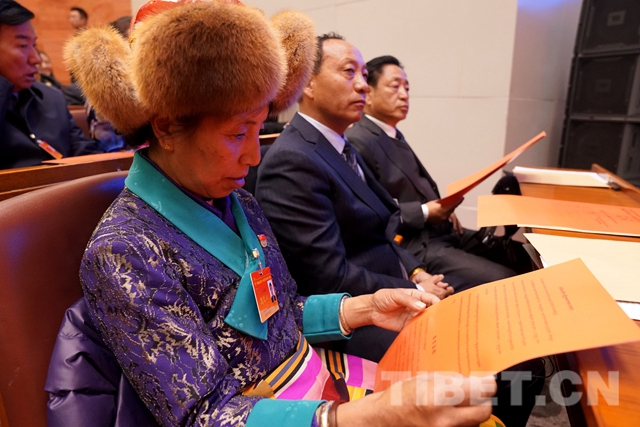 王纯丁,云丹,胡林补选为西藏自治区十一届人大常委会