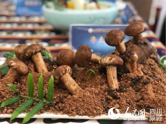 雅江松茸（图片由雅江县委宣传部提供）
