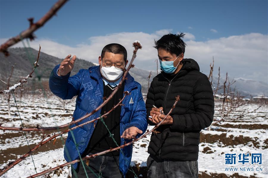 （决战决胜脱贫攻坚·聚焦三区三州·图文互动）（4）拓展新天地——云南迪庆藏区“新产业”掠影