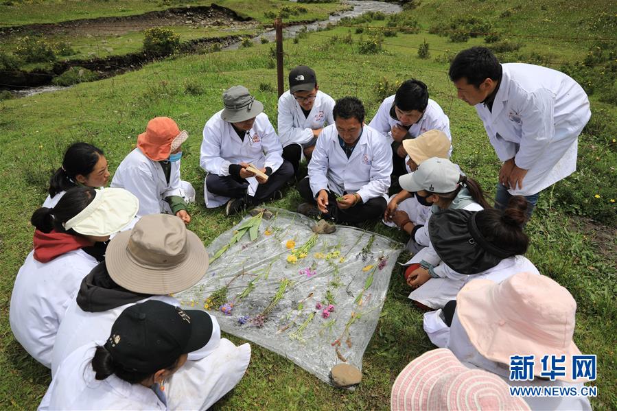 （社会）（2）夏日采药季