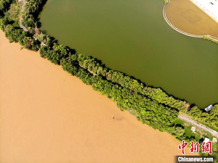 图为2020年9月3日航拍黄河兰州段湿地公园现黄河“鸳鸯锅”。(资料图) 高莹 摄