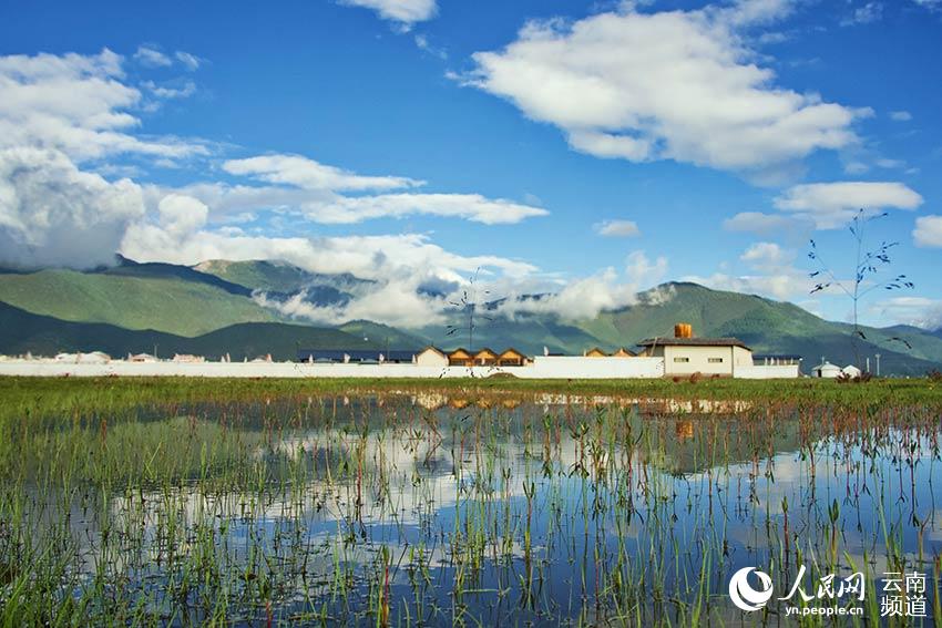 纳帕海湿地风景。吕昊辰摄